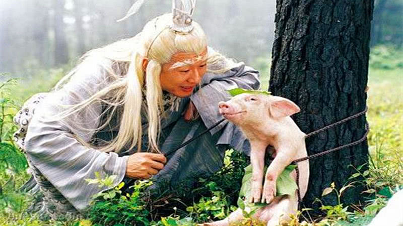 十大外围足球平台app