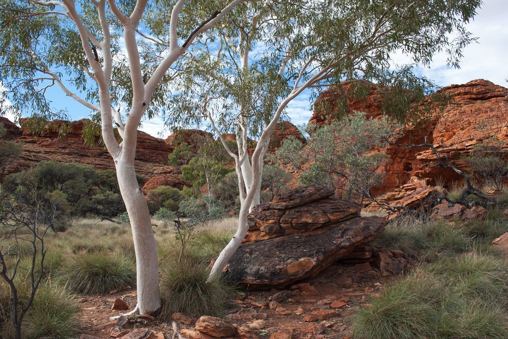 “十大外围足球平台app”
【效果通告】运城师范高等专科学校体育系教研室、器材室革新工程