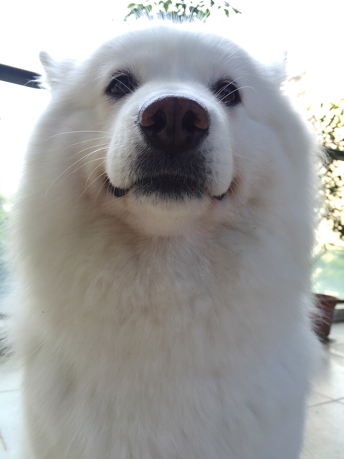 国产独立游戏《暴风雪俱乐部》曝光 侦探迷的烧脑盛宴:十大外围足球大平台(图1) 十大外围足球平台app