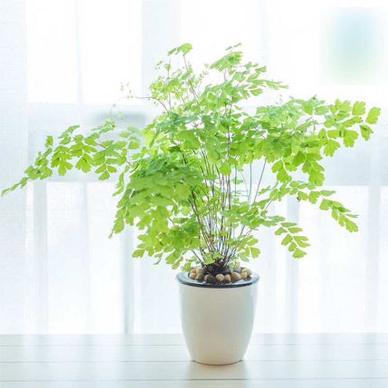 十大外围足球平台app