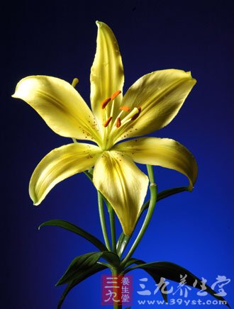 十大外围足球平台app手机版