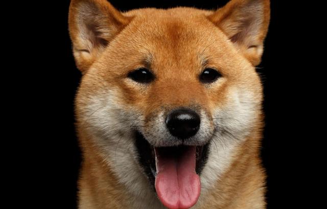 十大外围足球平台app