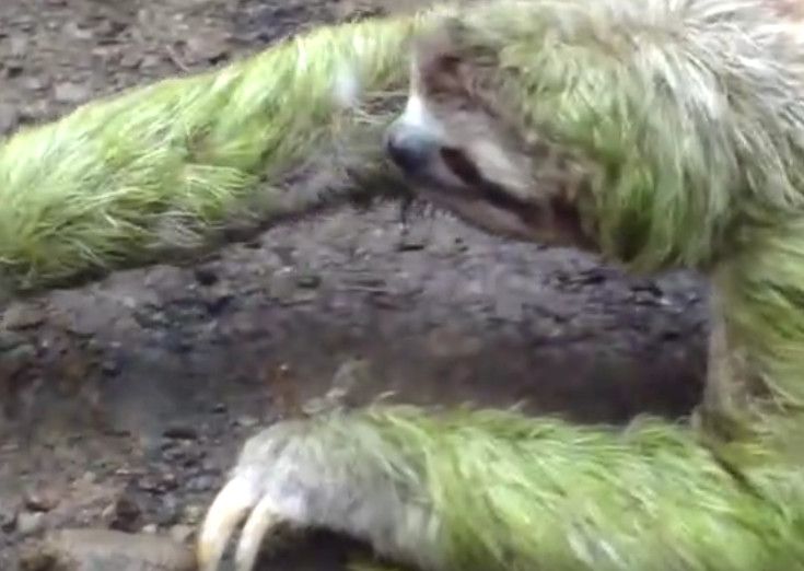 十大外围足球平台app手机版