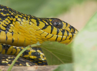 十大外围足球平台app手机版