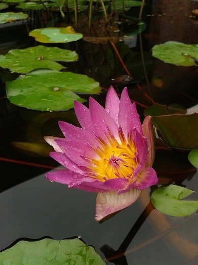 十大外围足球大平台